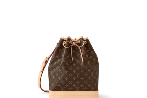 LV Monogram Canvas Noé BB Bag
