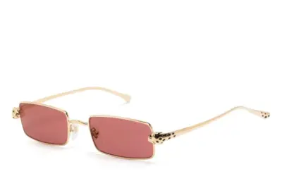 Cartier Eyewear Sunglasses with square frames Gold