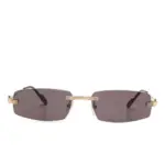Cartier Eyewear CT0535S Sunglasses