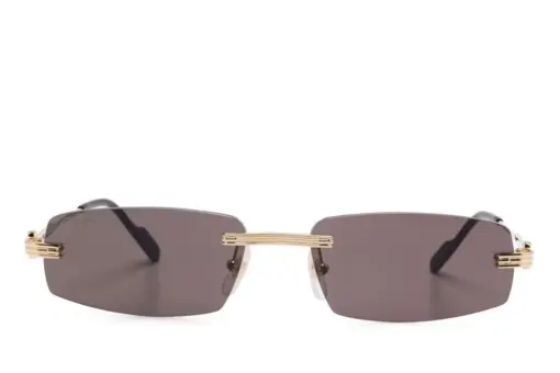Cartier Eyewear CT0535S Sunglasses