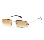 Cartier Eyewear Sunglasses with square frames
