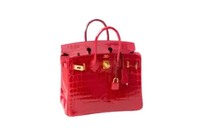 Hermes Braise Red Ferrari Crocodile Birkin 25 Handbag Kelly Bag