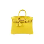 Hermes Birkin 25 Yellow Exotic Matte Crocodile