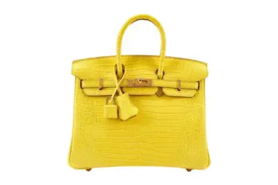 Hermes Birkin 25 Yellow Exotic Matte Crocodile