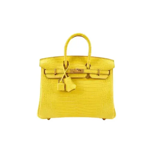Hermes Birkin 25 Yellow Exotic Matte Crocodile
