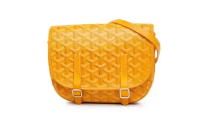 Goyard Pre-Owned Belvedere PM crossbody bag Yellow
