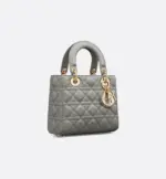 Small Lady Dior My ABCDior Bag Stone Gray