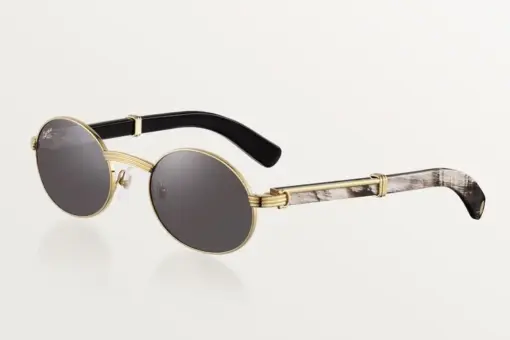 First Cartier sunglasses gray lenses