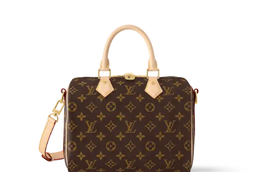 LV Speedy 25 with shoulder strap
