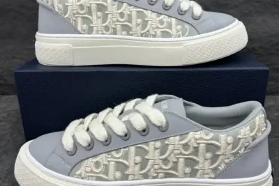 Dior B33 Sneaker Gray Smooth Calfskin