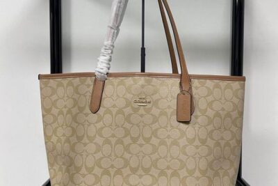 Coach City Tote In Signature Canvas Bag