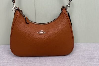 Coach Teri Hobo Shoulder Bag Brown