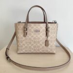 Coach Mollie Tote 25 Bag Lite Brown