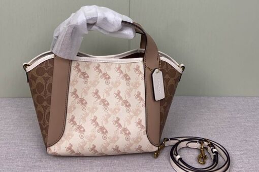 Coach Hadley Hobo 21 bag in Signature Canvas