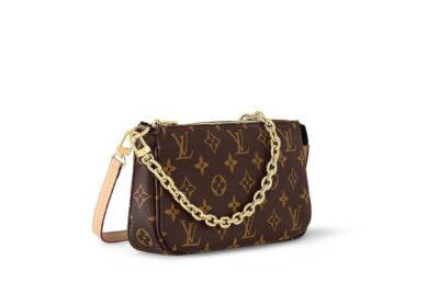 LV Pochette Accessoires Monogram Canvas