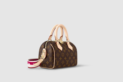 LV Speedy Bandoulière 20 Bag
