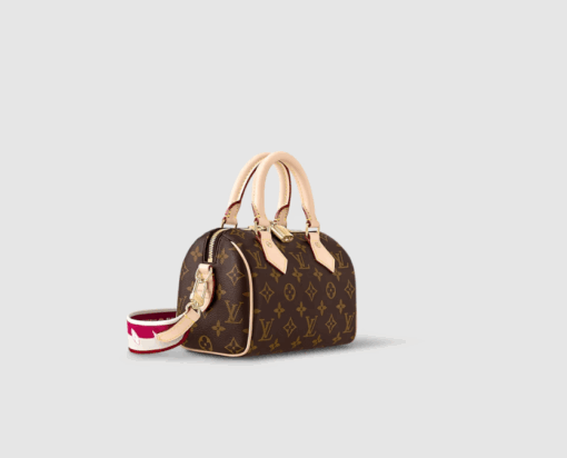 LV Speedy Bandoulière 20 Bag