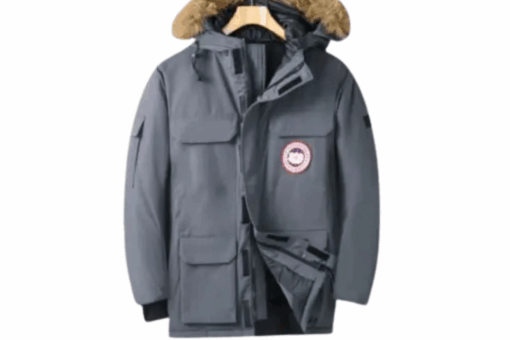 Canada Goose Winter jacket Grey
