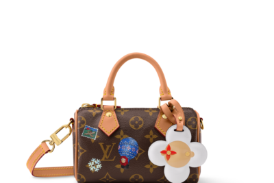 Lv Nano Speedy Monogram  Bag Brown