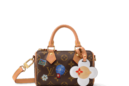 Lv Nano Speedy Monogram  Bag Brown