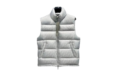 Dior Oblique Sleeveless Down Jacket Silver