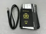 Balenciaga Passport Leather Phone & Card Holder