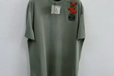 Loewe 25 Embroidered Short-sleeved T-shirt Green