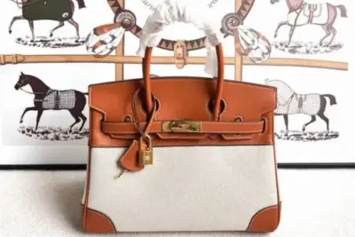 Hermes Birkin Togo Bag Brown & White
