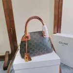 Celine Triomphe Dome Bag Green & Brown