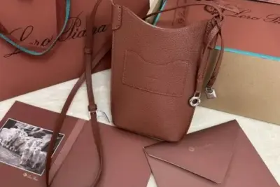 Loro piana Cell phone Bag Natural Brown