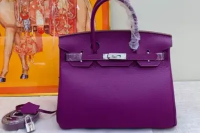 Hermes Birkin Togo Bag Purple