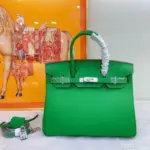 Hermes Birkin Togo Bag Green