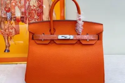 Hermes Birkin Togo Bag Orange