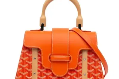 Goyard Pre-Owned Goyardine Saigon PM satchel Orange