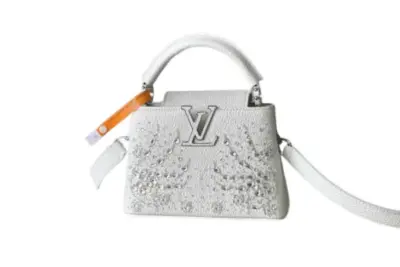 LV Bag