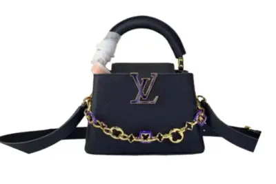 LV Bag