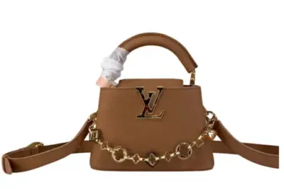 LV Bag