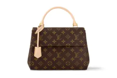 LV Bag