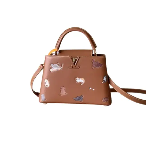 LV Bag