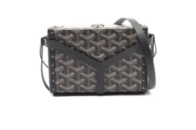 Goyard Pre-Owned Minaudière shoulder bag light brown