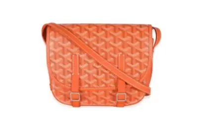 Goyard Pre-Owned Belvedere II PM cross body bag orange
