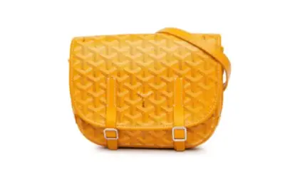 Goyard Pre-Owned Belvedere PM crossbody bag Yellow
