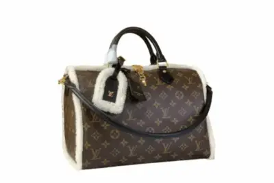 LV Speedy Soft 30 Teddy Bag Canvas Monogram