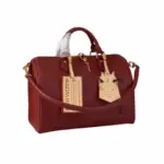 LV Speedy Soft 30 H33 Bag