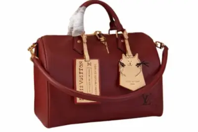 LV Speedy Soft 30 H33 Bag