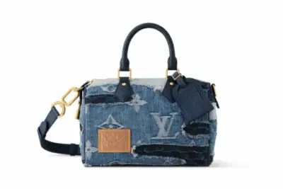 LV Nigo Speedy 25 Bandoulière denim Bag