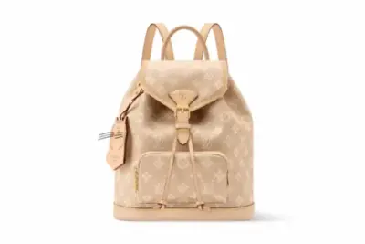 LV Montsouris PM Bag in Monogram coated canvas
