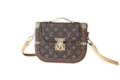 LV Montsouris Trunk Monogram Canvas Bag