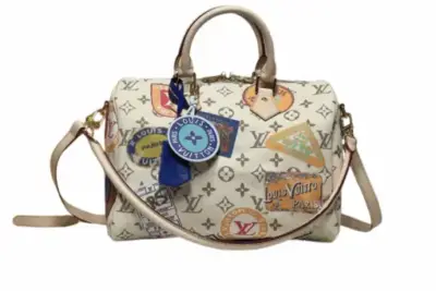 LV Speedy Soft 30 Monogram Dune Bag