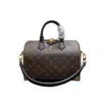 LV Speedy Trunk 20 Handbag Dark Brown